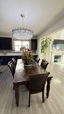 16143 S Lakeview Road, Plainfield, IL 60586