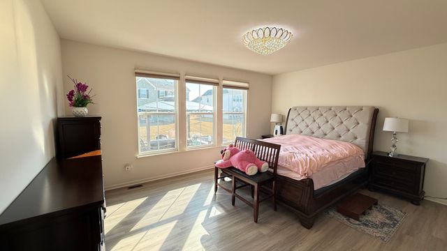 16143 S Lakeview Road, Plainfield, IL 60586