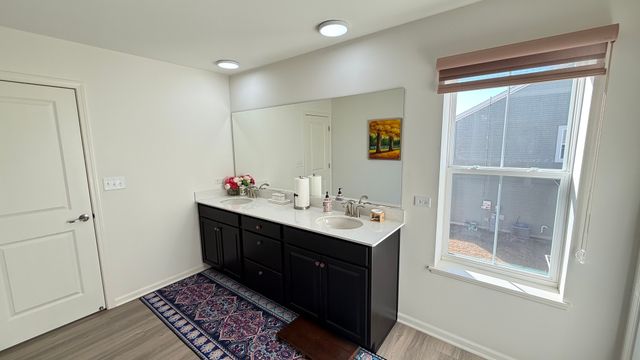 16143 S Lakeview Road, Plainfield, IL 60586