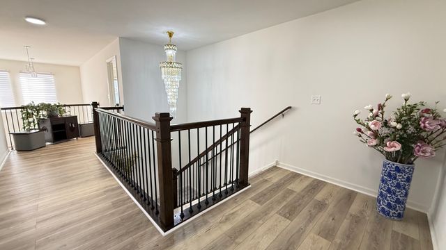 16143 S Lakeview Road, Plainfield, IL 60586