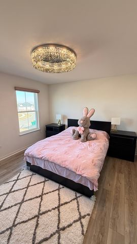 16143 S Lakeview Road, Plainfield, IL 60586