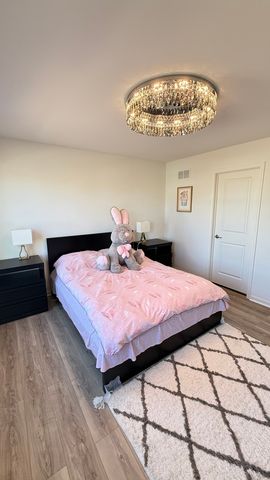 16143 S Lakeview Road, Plainfield, IL 60586