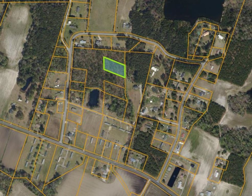 TBD Douston Rd., Loris, SC 29569 — photo 2
