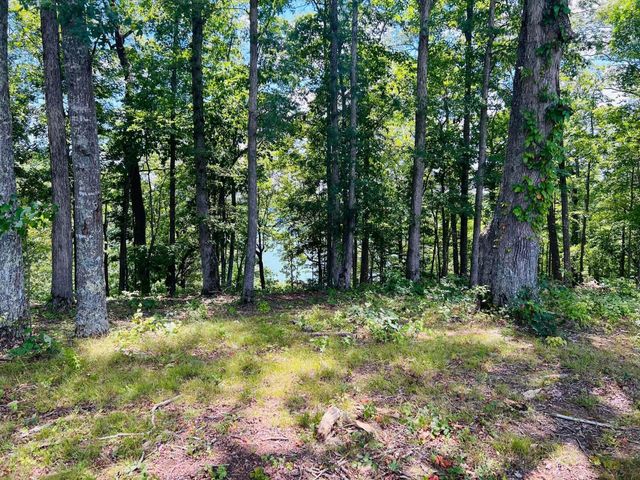 112 Carson Lane, Russell Springs, KY 42642