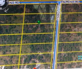 000 Parrot Road, Weeki Wachee, FL 34614