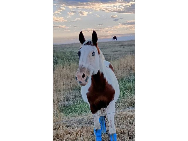 53647 County Road 36.4, Genoa, CO 80818
