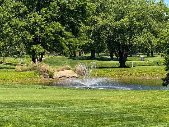 8420 Interlochen Drive, Nixa, MO 65714