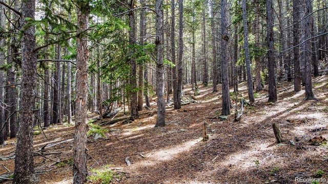000 Sawmill Lane, Idaho Springs, CO 80452