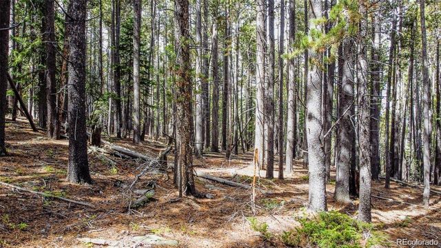 000 Sawmill Lane, Idaho Springs, CO 80452