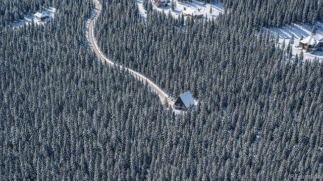 000 Sawmill Lane, Idaho Springs, CO 80452