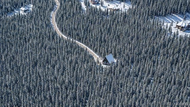 000 Sawmill Lane, Idaho Springs, CO 80452