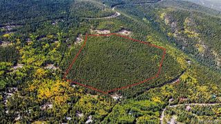 000 Sawmill Lane, Idaho Springs, CO 80452