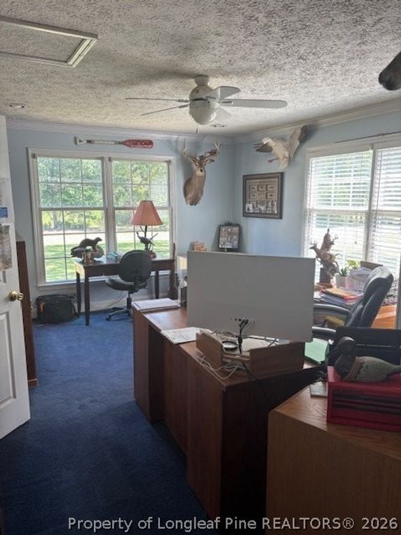 3744 NC HWY 210 Highway, Harrells, NC 28444 — photo 10