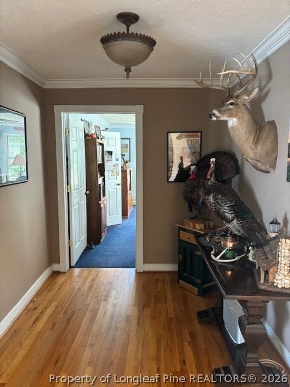 3744 NC HWY 210 Highway, Harrells, NC 28444 — photo 11
