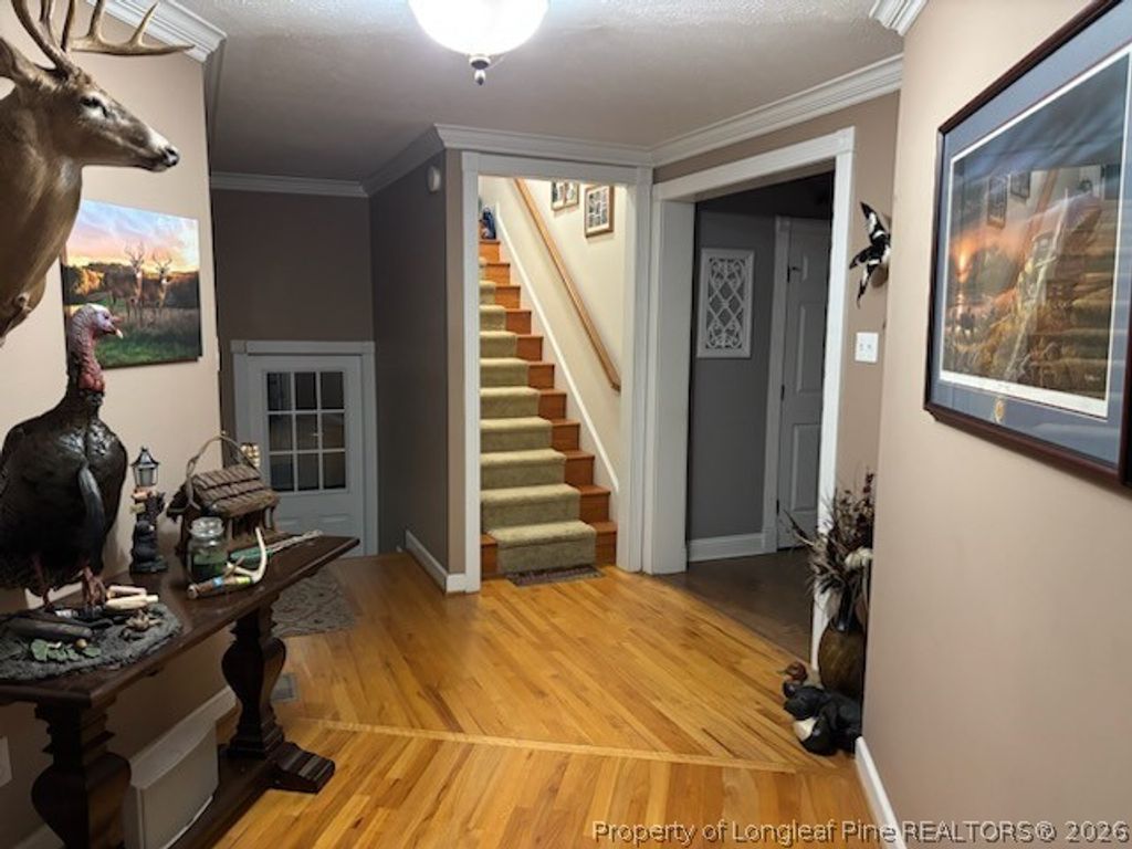 3744 NC HWY 210 Highway, Harrells, NC 28444 — photo 12