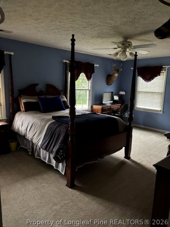 3744 NC HWY 210 Highway, Harrells, NC 28444 — photo 23