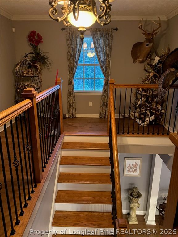 3744 NC HWY 210 Highway, Harrells, NC 28444 — photo 29