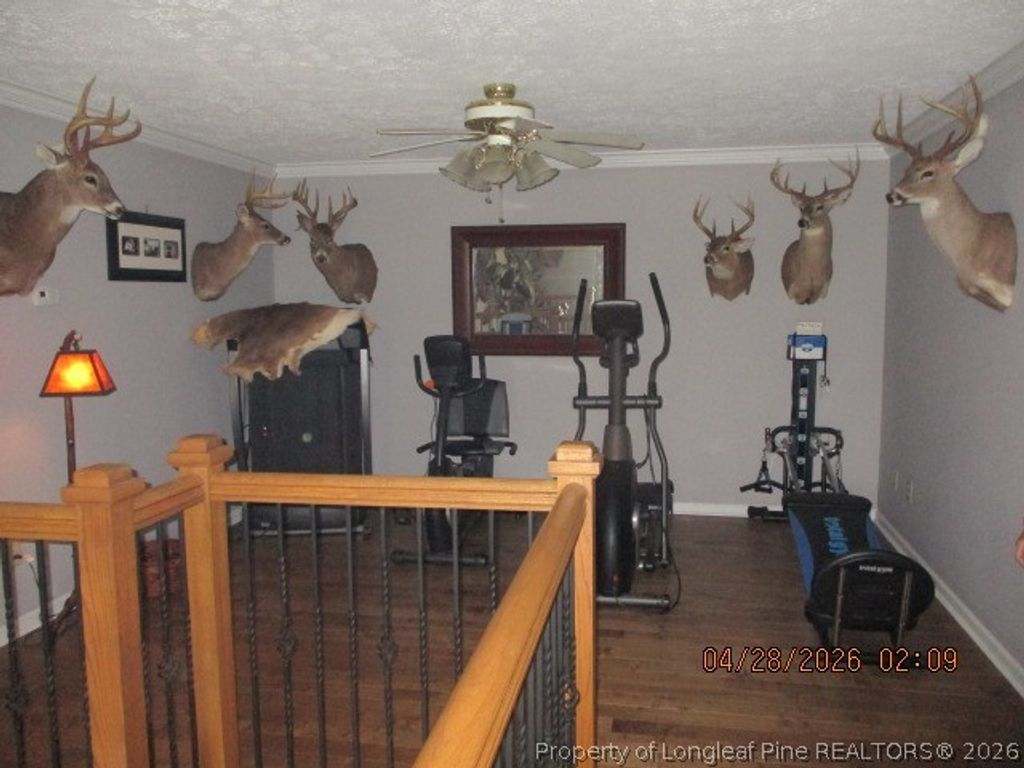 3744 NC HWY 210 Highway, Harrells, NC 28444 — photo 30