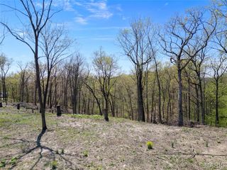 0 Iron Mountain Bluff-Wicks, Arnold, MO 63010