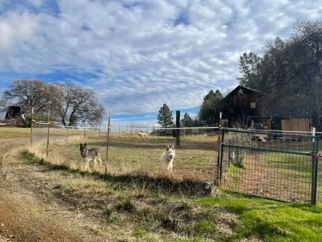 172 Rich Gulch, Oroville, CA 95965
