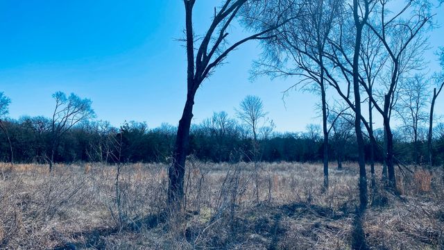Lot 9 SE County Road 3140, Corsicana, TX 75109