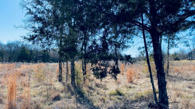 Lot 9 SE County Road 3140, Corsicana, TX 75109