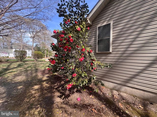 1 PINE TREE CIR, Lewes, DE 19958