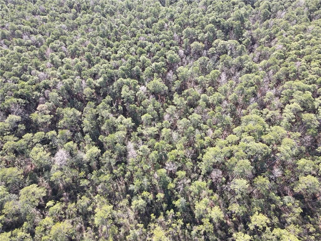 0 Highway 188, Coden, AL 36523 — photo 2