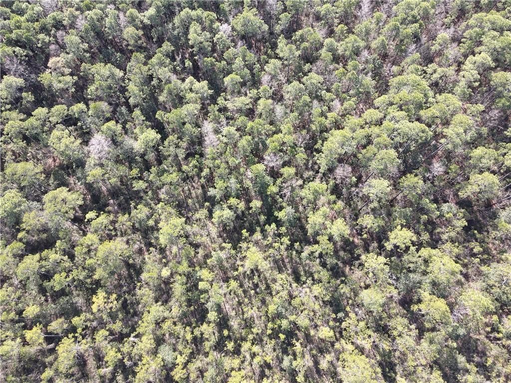 0 Highway 188, Coden, AL 36523 — photo 4