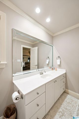 1005 WOODLANDS COVE, Helena, AL 35080