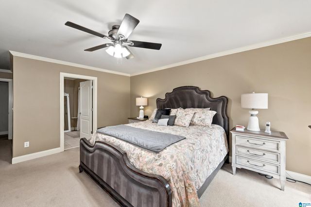 1005 WOODLANDS COVE, Helena, AL 35080