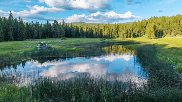 1451 Coon Hollow Road, Kila, MT 59920 property photo
