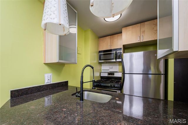 210 N 17th Street 1110, St Louis, MO 63103