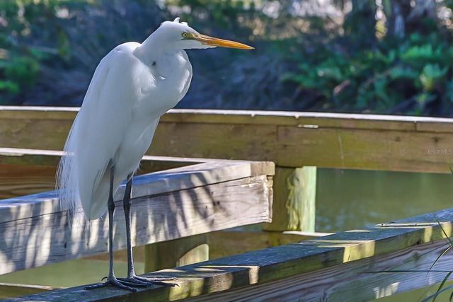 3240 SEA GRAPE DRIVE, Hernando Beach, FL 34607