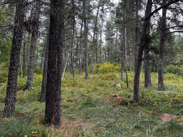 Tract B Jewel Drive, Park Rapids, MN 56470