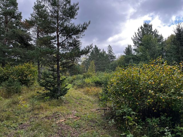 Tract B Jewel Drive, Park Rapids, MN 56470