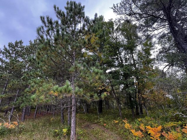 Tract B Jewel Drive, Park Rapids, MN 56470