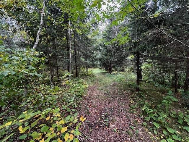 Tract B Jewel Drive, Park Rapids, MN 56470
