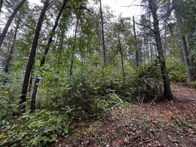 Tract B Jewel Drive, Park Rapids, MN 56470