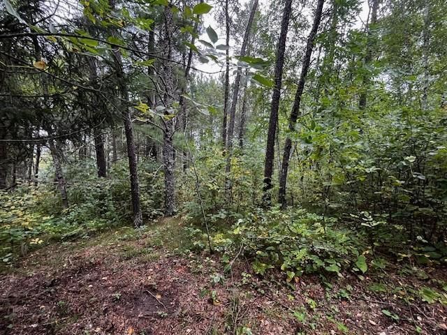 Tract B Jewel Drive, Park Rapids, MN 56470