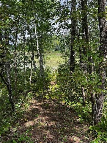 Tract B Jewel Drive, Park Rapids, MN 56470