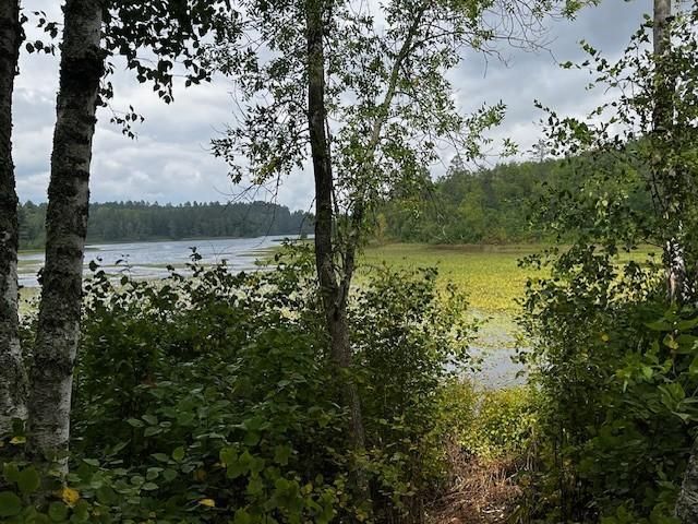 Tract B Jewel Drive, Park Rapids, MN 56470