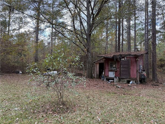 307 Otter, Akron, AL 35441