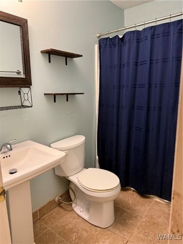 307 Otter, Akron, AL 35441