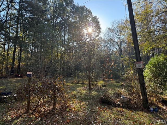 307 Otter, Akron, AL 35441