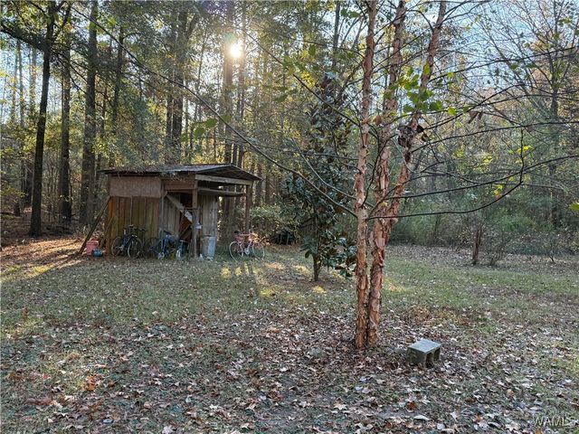 307 Otter, Akron, AL 35441