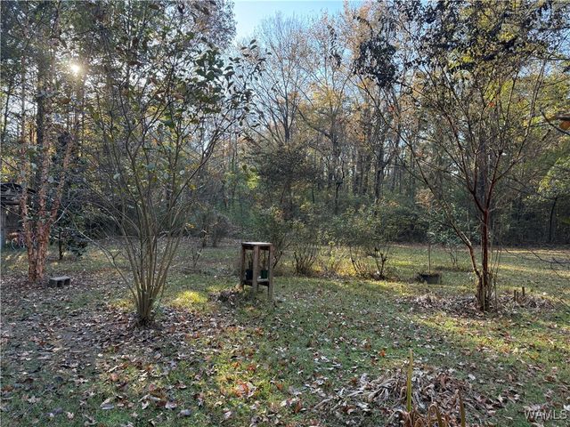 307 Otter, Akron, AL 35441