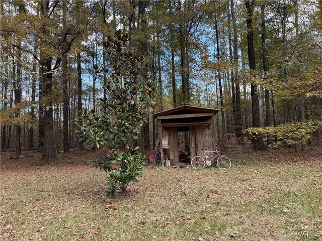 307 Otter, Akron, AL 35441