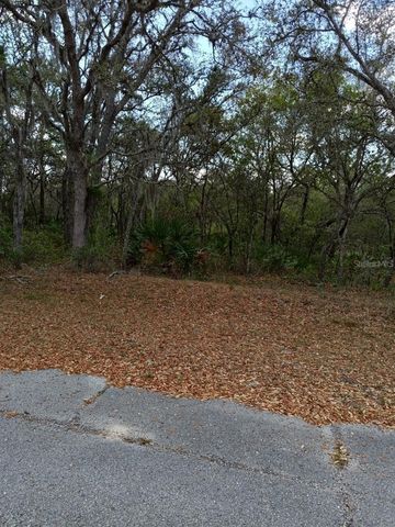 429 NAPLES COURT, Kissimmee, FL 34759