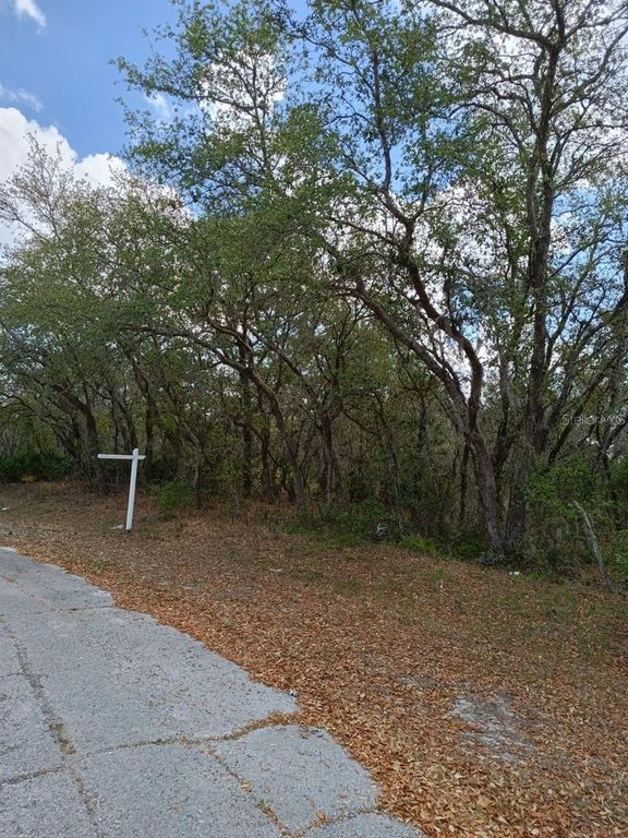 429 NAPLES COURT, Kissimmee, FL 34759